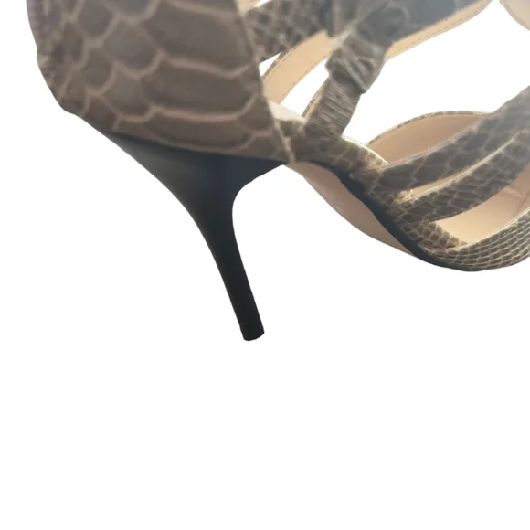 Rouge Helium Zip Up Gator Heels - Picture 14 of 16